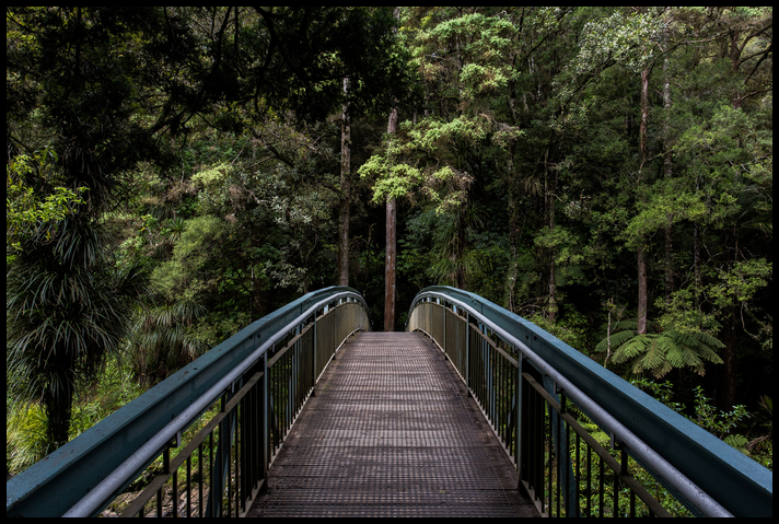 Empty footbridge leading to a jungle. class=
